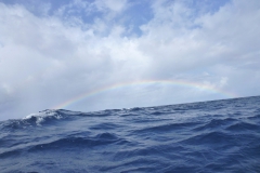 Sea - Rainbow 3-LOW RES 1024px