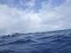 Sea - Rainbow 3-LOW RES 1024px