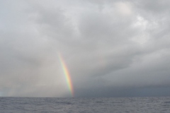 Sea - Rainbow-LOW RES 1024px